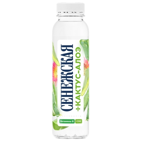 Вода Сенежская фруктовая со вкусом Кактус-алоэ 0,44 литра пэт, 12 шт. в уп. от магазина Одежда+