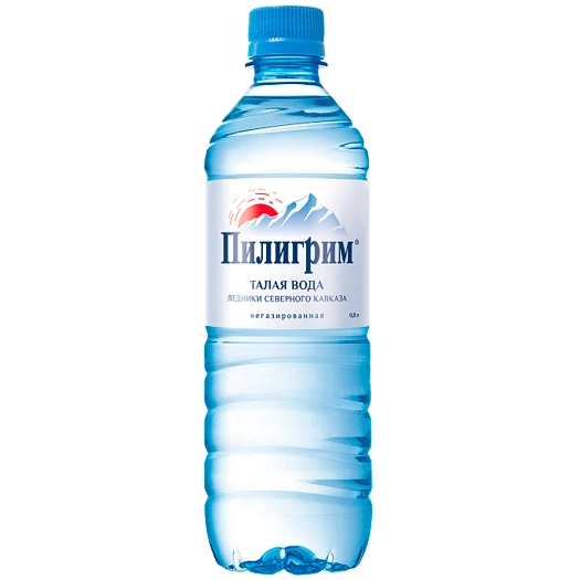 Вода "Пилигрим" 0.5 литра, без газа, пэт, 12 шт. в уп.